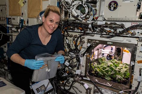 Growing Vegetables in Space — Eat Like an Astronaut | LaptrinhX / News