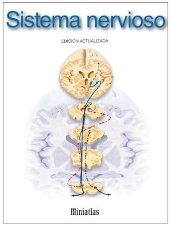 Miniatlas Sistema nervioso (Spanish Edition) eBook : Lepori, Luis Raul ...
