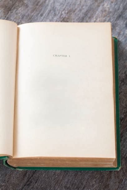 Chapter Number One 的图像结果