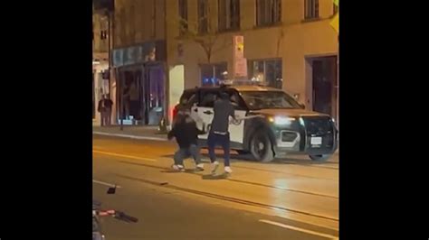 Image result for Python Snake Fight Snake