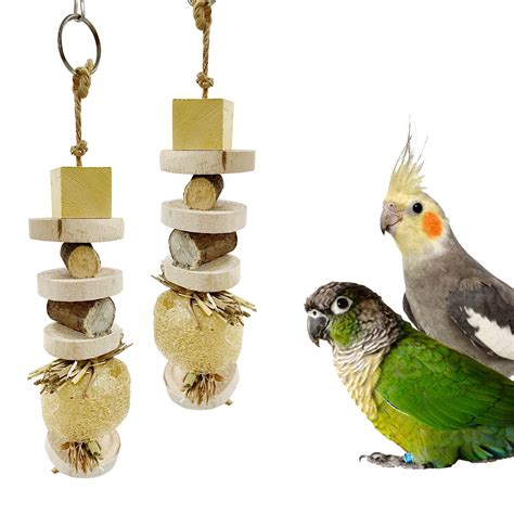 Congo® 12 inch Set of 2 Pcs Natural Luffa Chewing Toy for Budgies, Lov ...