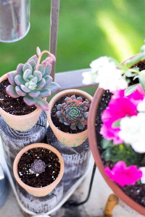 Spring Decor Outdoor 的图像结果