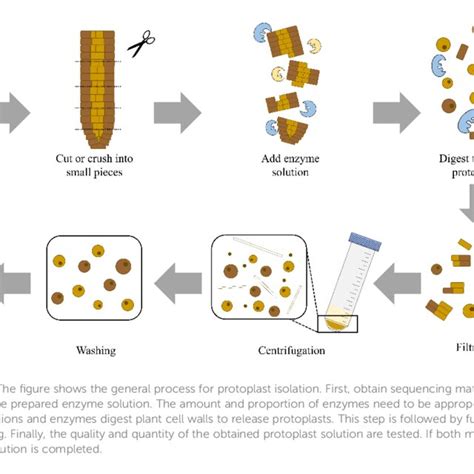 Image result for Transcriptomics technologies Single-cell Transcriptomics