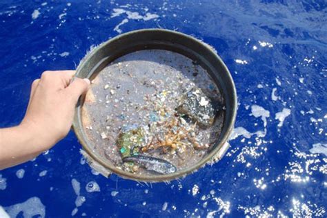 what are microplastics and are they harmful? – aastey