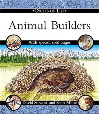 Buy Cycles of Life: Animal Builders Book Online at Low Prices in India ...