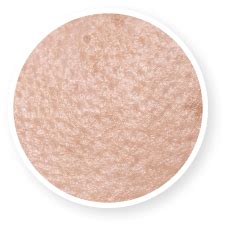 Best Acne Scar Healing Combo – Reduce Acne Pits, Dark Spots, & Shrink