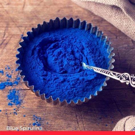 25 Naturally Blue Foods (With Pictures!) - Chef's Pencil