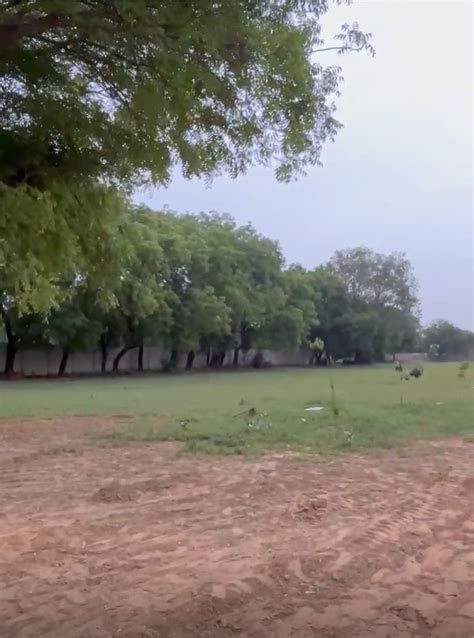 Plots in Dhankot, Gurgaon: 25+ Residential Land / Plots for Sale in ...