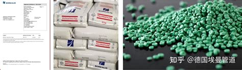 ppR3 Vector 的图像结果