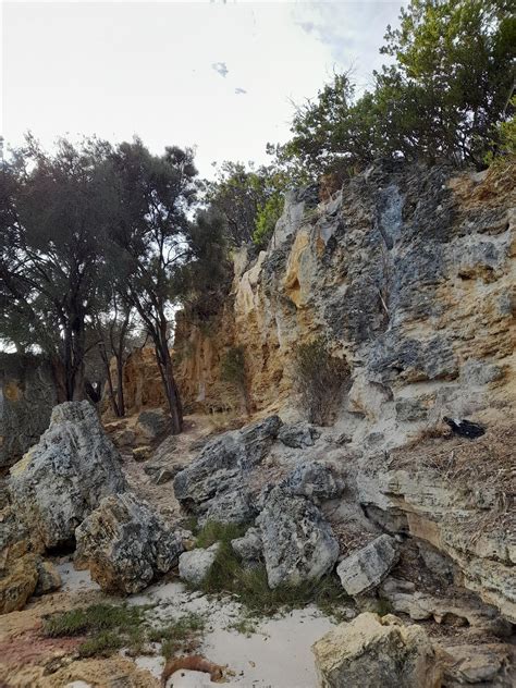 Jeff Joseph and Heathcote Nocturnal Walk, 1 The Strand, Applecross, 23 ...