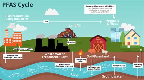 [Indepth] Forever Chemicals (PFAS): How They’re Harming Your Health Without You Knowing – IAS ...