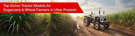 Latest Tractor Models in Uttar Pradesh | Eicher Top Models