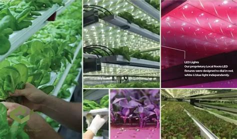 Image result for Controlled Environment Technology Examples