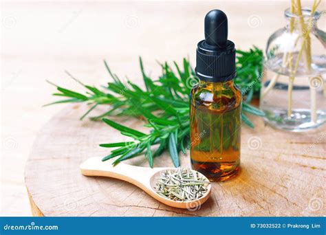 Rosemary Aromatherapy Oil Extract Stock Photo - Image of flavor, dried ...