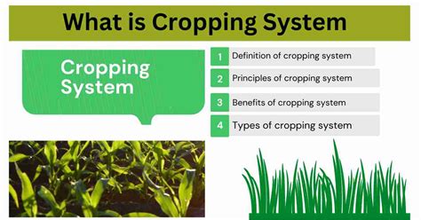 Image result for Cropping System Types