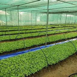 Best Top Rated Botanical garden in Salem, Tamil Nadu, India | Yappe.in