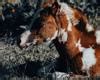 Image result for Hunched Over Computer