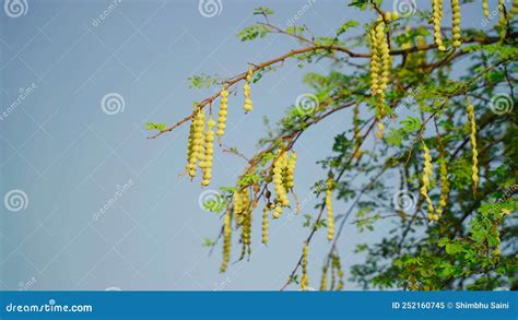 Image result for Utility Service Connection