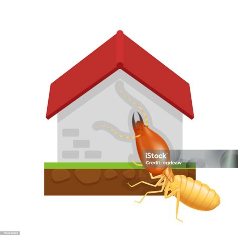 Ilustración de Termita Y Cemento Casa Aislada Sobre Fondo Blanco Icono ...