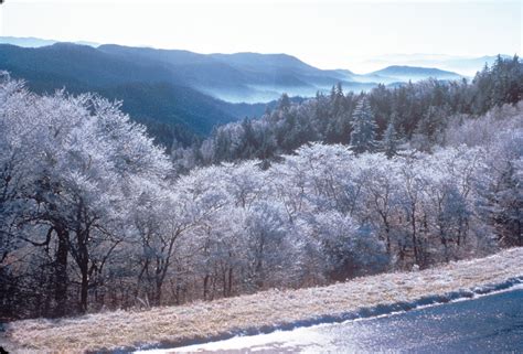 Top 5 Winter Activities in Gatlinburg, TN