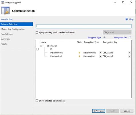 Image result for SQL Server Always Encrypted
