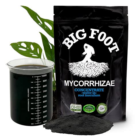 Buy Big Foot Water-in Brew - Soil Drench and Fertilizer | Mycorrhizae ...