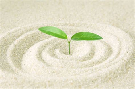 業務提携契約書（サービス系）＋個別契約書サンプル | M.B.A. 行政書士 岡田旭事務所 / オカダオフィス