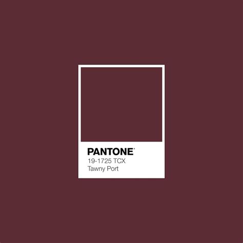 PANTONE 19-1725 TCX Tawny Port Color | Pantone colour palettes, Pantone ...