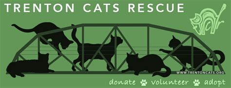 Trenton Cats Rescue Adoption Event Petsmart Fairless Hills, PetSmart ...