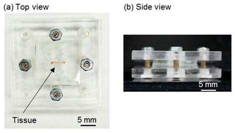 Development of a Microfluidic Device to Form a Long Chemical Gradient ...