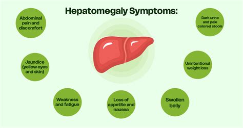 Hepatomegaly (Liver Swelling): Symptoms and Causes – Life Aveda