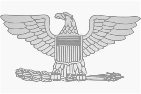 Image result for High Colonel Rank