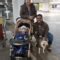 PAWsome.in – International pet relocations from/to India