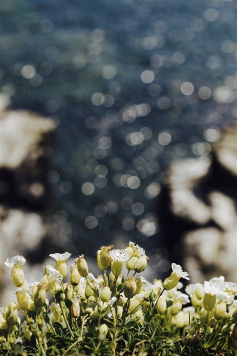 kylebonallo the isle of may by kyle bonallo ig Urban living in the NW @jbigzzs