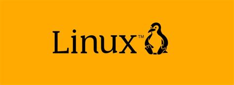 100+ Top Linux Theoretical Interview Exam Questions and Answers in 2022 ...