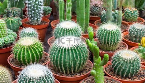 Image result for Basic Pattern Design