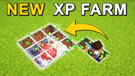 Image result for Armadillo Farm for Exp Java