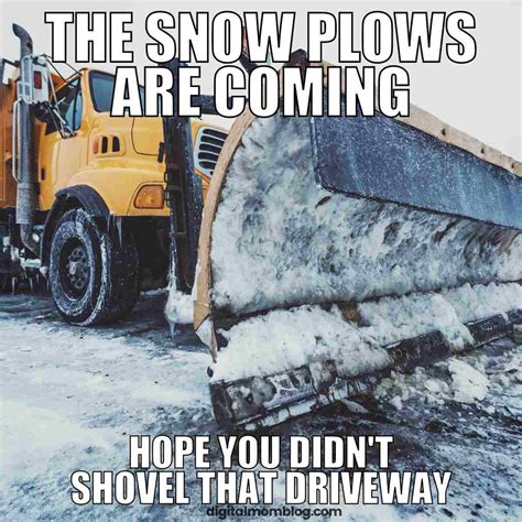 40 Best Snow Memes for Laughing at Winter Weather - CohaiTungChi Tech