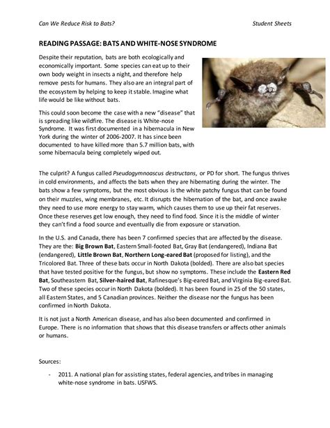 READING PASSAGE WHITE NOSE SYNDROME | DOCX