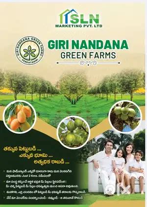 Giri Nandana Green Farms - Lands & Plots - 1826486930