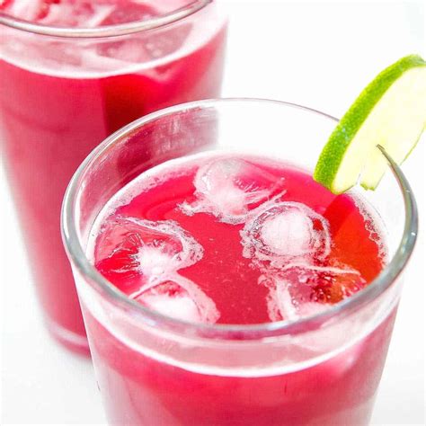 How to Make Prickly Pear Juice - Agua de Tuna » LeelaLicious