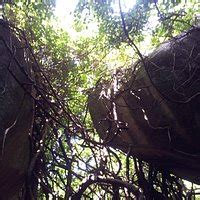 SIDDARA BETTA (2026) All You Need to Know BEFORE You Go (with Reviews ...