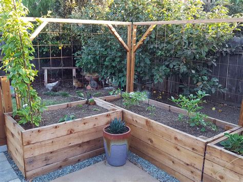 How to Build a Trellis: Inexpensive & Easy Designs ~ Homestead and Chill