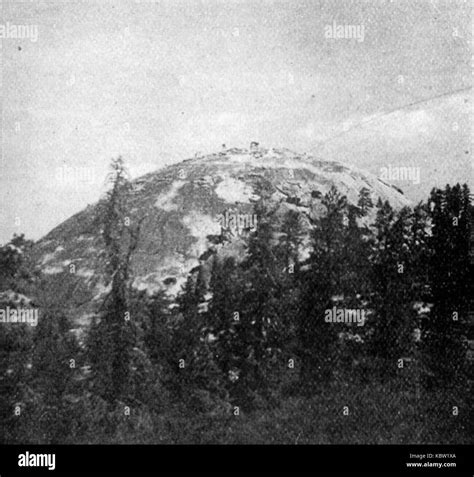 Image result for Sentinel Dome Tree