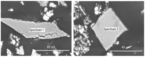 Metal Exchangeability in the REE-Enriched Biogenic Mn Oxide Birnessite ...