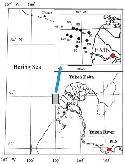 Effects of River Discharge and Sediment Load on Sediment Plume ...