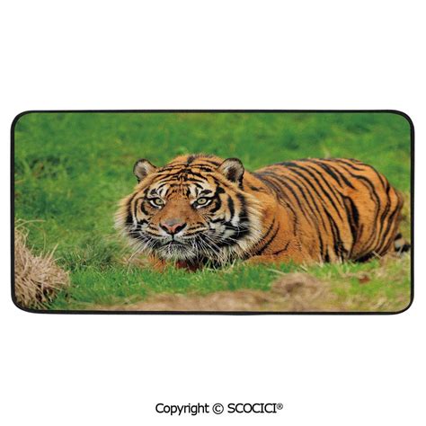 Rectangle Rugs for Bedside Fall Safety, Picnic, Art Project, Play Time ...