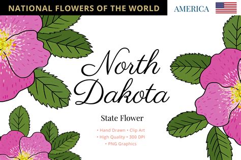 State Flower North Dakota