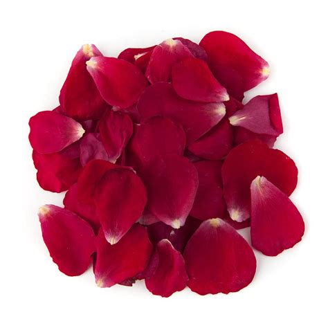 Bright Red Rose Petal Sample - Real Flower Petal Confetti Co