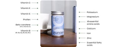 Gunam Blue Spirulina Powder (60 Servings) | USDA Organic | Superfood ...